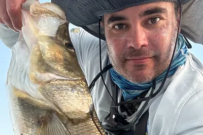 Clearwater Fishing Adventure: Catch & Sightsee!