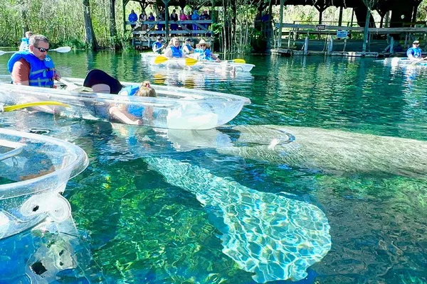 Silver Springs Kayak & Paddleboard Wildlife Tour