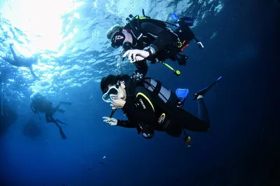 Dive into Montgrí's Underwater Wonders: A 20-Minute Scuba Adventure