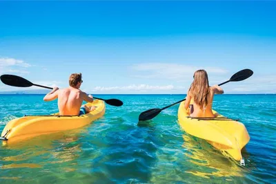Maui's Makena-Wailea: Kayak & Snorkel with Sea Turtles!