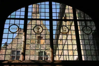Image 3