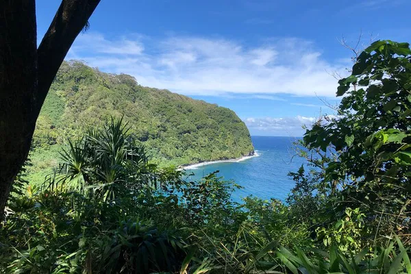 West Maui: Luxury Road to Hana Private Tour