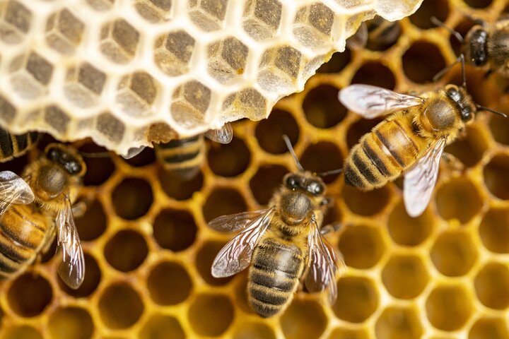 Experience Image img3