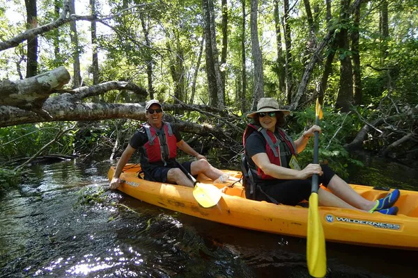 Blackwater Creek Kayak Adventure: Orlando's Untouched Wilderness