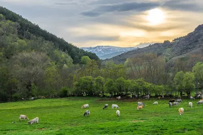 Discover Cerdanya's Charms: A Private Pyrenean Adventure from Barcelona