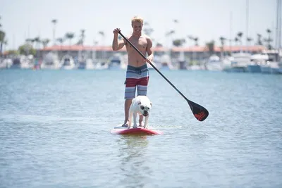 Glide Through Paradise: Paddle Boarding in Fort Lauderdale's Canals