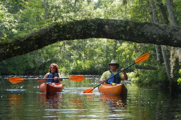 Glide Through Serene Lofton Creek: A Kayaking Adventure Awaits!