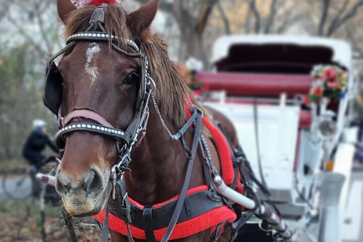 Experience Image img2