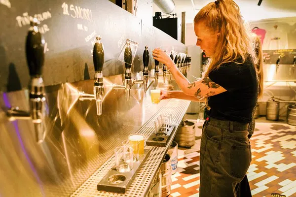 Reykjavik's Culinary Secrets: A Private Food & Beer Adventure