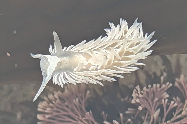 Experience Image img3