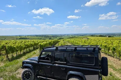 Cognac Vineyard Tour: Taste with a Local Winemaker