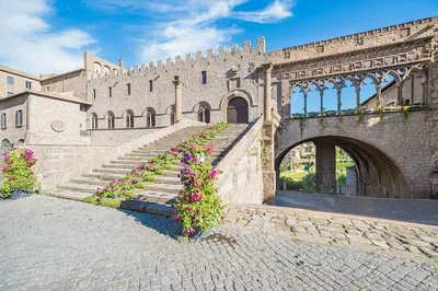 Viterbo & Farm Tour: Wine, Flavors, & Medieval Charm