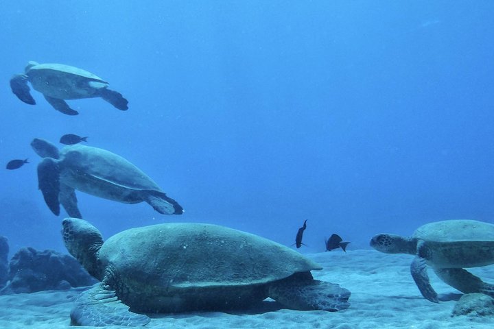 Experience Image img1