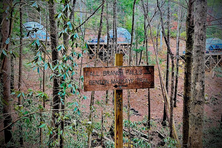 Experience Image img3