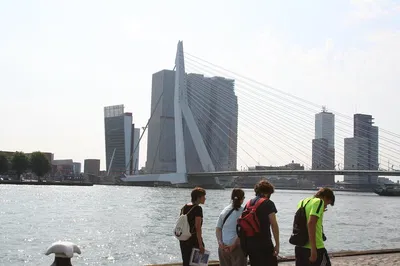 Rotterdam's Architectural Gems: A Private Walking Tour with Expert Architects