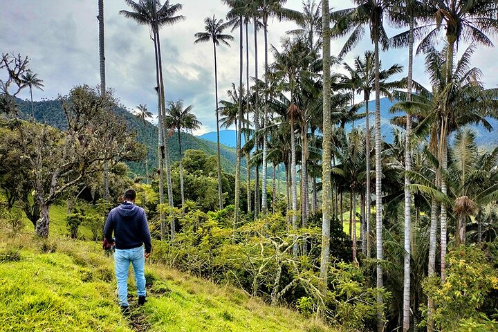 Experience Image img1