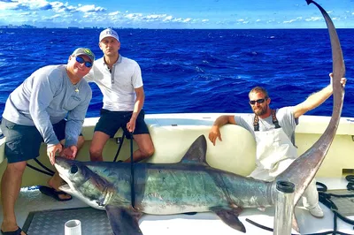 Epic Shark Showdown: Private Sportfishing Adventure in Fort Lauderdale!