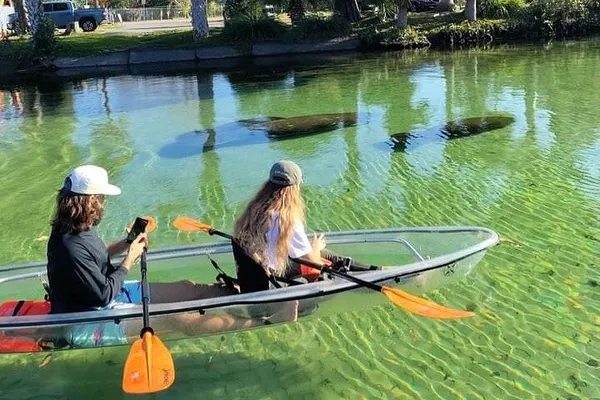 Weeki Wachee's Clear Kayak Manatee Quest: An Ecotour Adventure