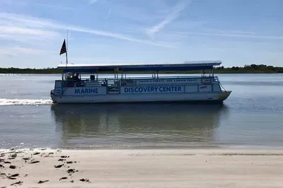 Discover Daytona Beach's Aquatic Wonders: A Dolphin Boat Tour Adventure!