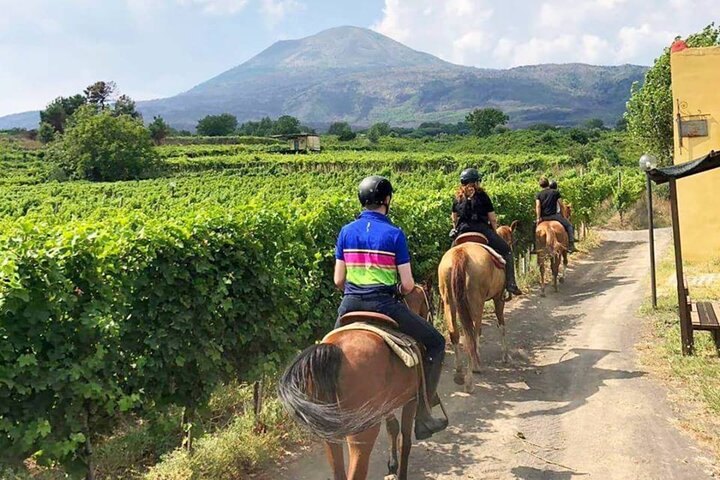 Experience Image img4