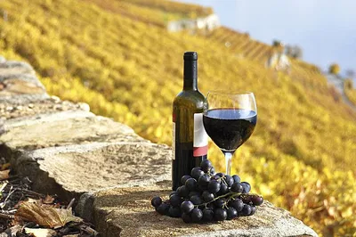 Chianti Colors & Flavors: A Half-Day Tuscan Wine Adventure