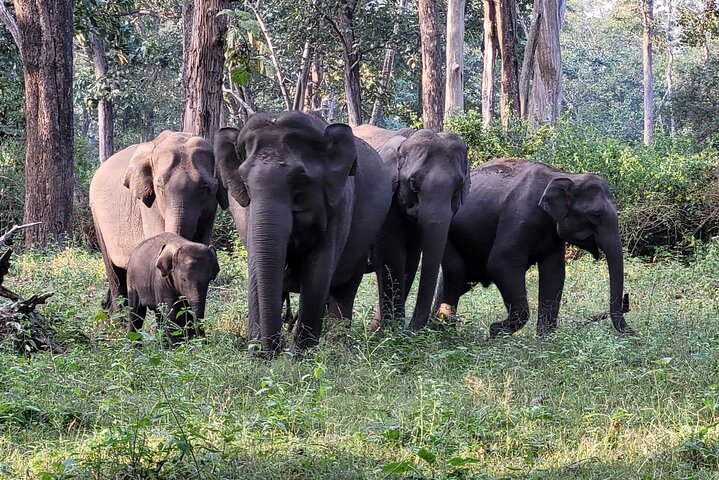 Experience Image img2