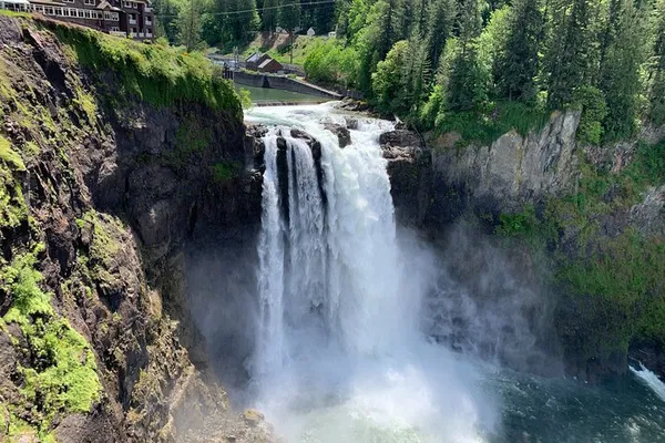 Seattle Waterfalls & Snoqualmie: Guided Forest Hike