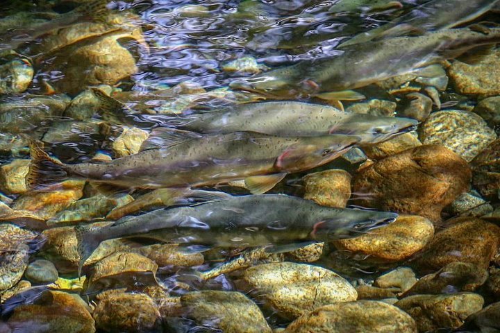 Experience Image img3