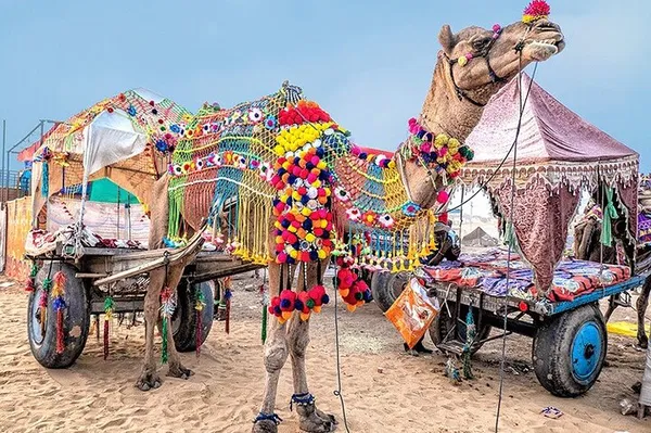 Discover Pushkar's Spiritual Charm: A Private Day Trip from Jaipur