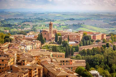 Tuscany's Treasures: A Private Day of Hilltop Wonders