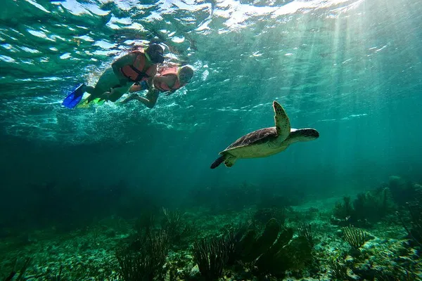 Discover Underwater Wonders: Guided Snorkeling in Puerto Morelos Reef