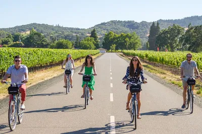 Sonoma Valley E-Bike Wine Tour: Pedal Through Paradise