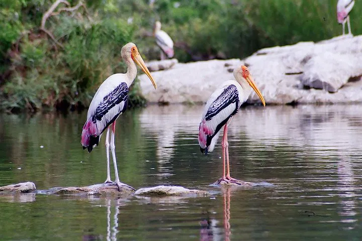 img0