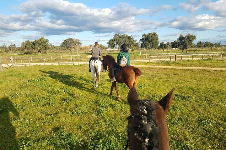 Experience Image img3