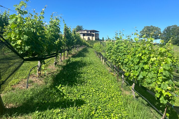 Experience Image img3