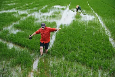 Capture Hoi An's Soul: A Sunset Photo Journey with Local Farmers