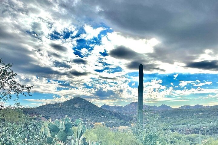 Experience Image img2