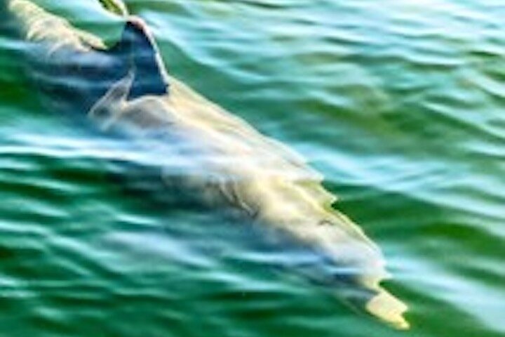 Experience Image img3