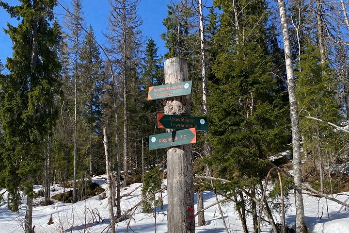 Experience Image img3