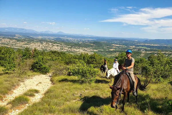 Saddle Up! Unforgettable Horseback Adventures in Haute Provence Luberon