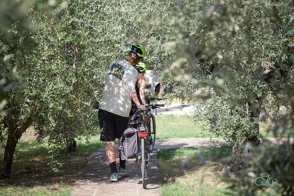 E-Bike Farm Feast: Pedal Through Umbria's Culinary Heart