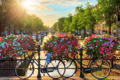 Amsterdam Canals: Capture the Beauty on a Self-Guided Photo Adventure
