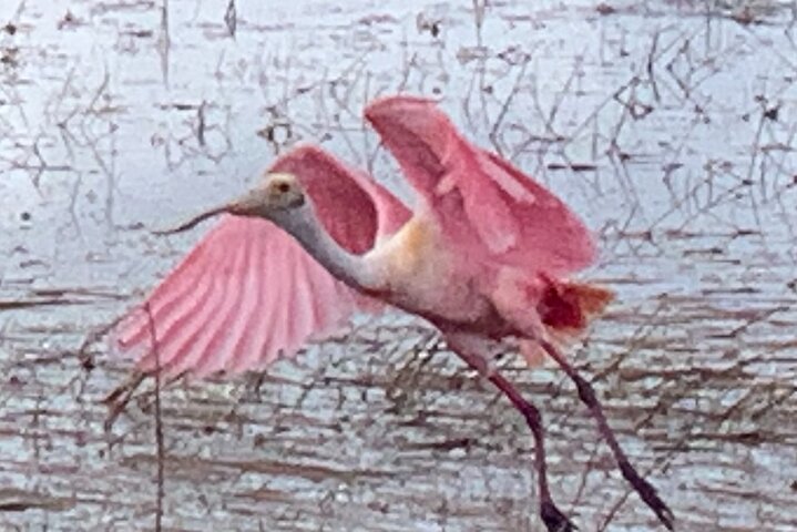 Experience Image img3