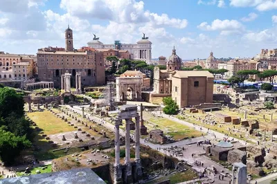 Unveiling Ancient Rome: Colosseum, Forum & Palatine Hill Adventure