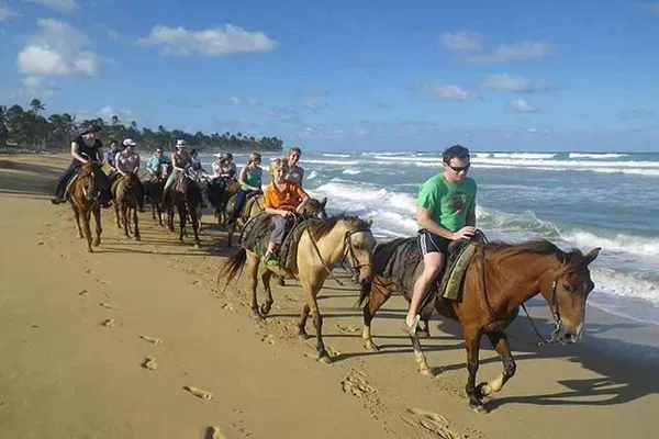 Punta Cana Beach Horseback Ride: Ocean Breeze!
