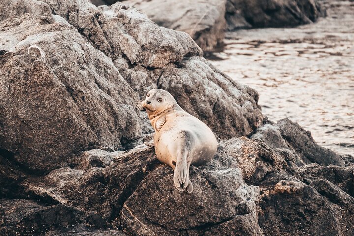 Experience Image img4