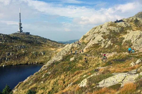 Bergen Viking History: Sea to Summit Small Group Tour