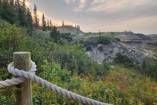 Waterton Lakes Tour: Cruise, Red Rock & Falls!