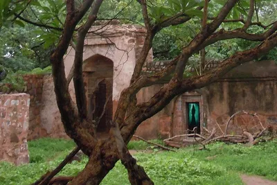 Unearth Delhi's Dark Side: A Haunted Ruins Exploration