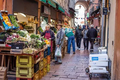 Discover Bologna's Vegan Scene: A Personalized Culinary Adventure
